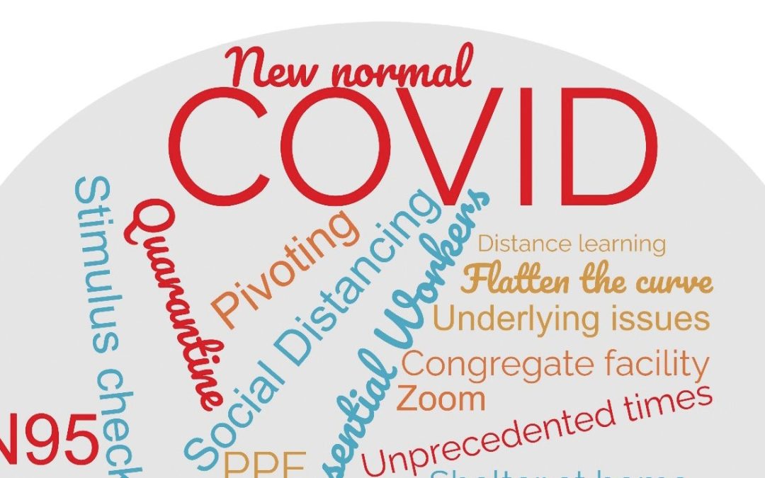 A Look Back at Navigating the COVID-19 Pandemic